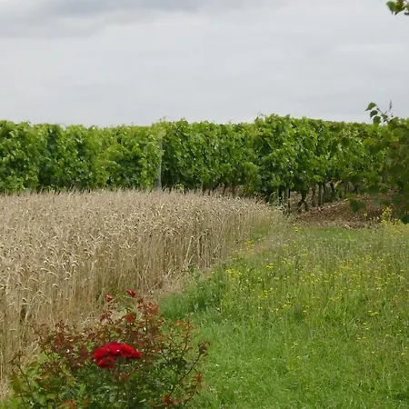 فندق مبيت وإفطار Ferme De Chez Piche Chérac