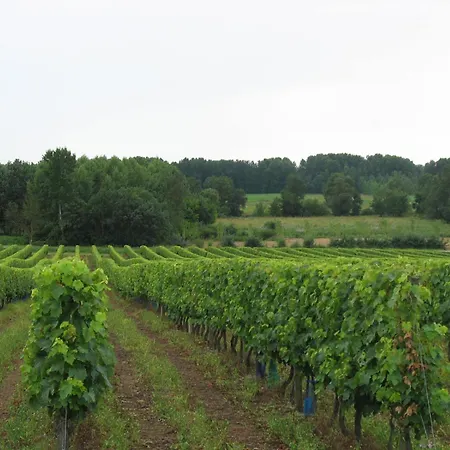 Ferme De Chez Piche فندق مبيت وإفطار Chérac